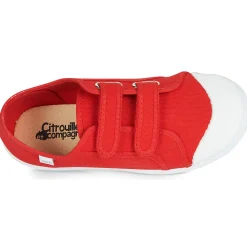 Citrouille et Compagnie - GLASSIA Rouge New