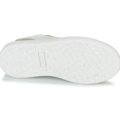 Online Citrouille et Compagnie - FITOS