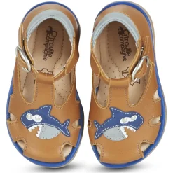 Citrouille et Compagnie - ISKILANDRO