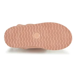 Citrouille et Compagnie - NOCHO