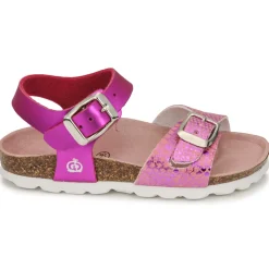 Citrouille et Compagnie - RELUNE