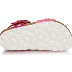 Citrouille et Compagnie - RELUNE