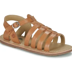 Citrouille et Compagnie - INALA Camel Sale