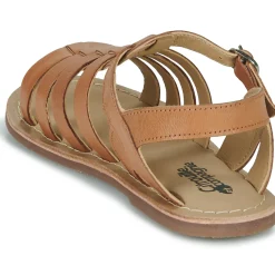 Citrouille et Compagnie - INALA Camel Sale