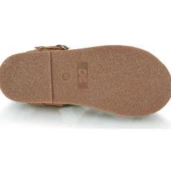 Citrouille et Compagnie - INALA Camel Sale