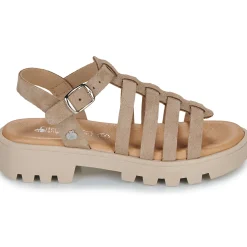 Citrouille et Compagnie - NASAKA