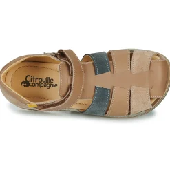 Citrouille et Compagnie - FRINOUI Hot