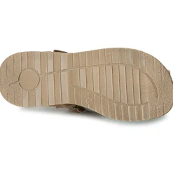 Citrouille et Compagnie - FRINOUI Hot