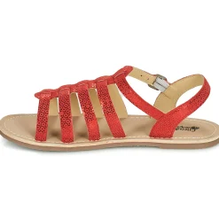 Sale Citrouille et Compagnie - MAYANA Rouge