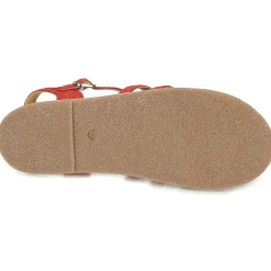 Sale Citrouille et Compagnie - MAYANA Rouge