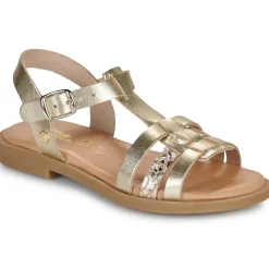 Best Citrouille et Compagnie - TALEAU Gold