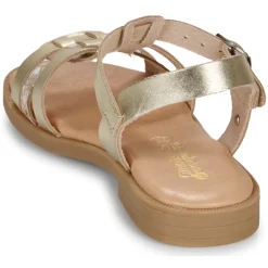 Best Citrouille et Compagnie - TALEAU Gold