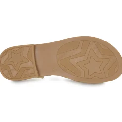 Best Citrouille et Compagnie - TALEAU Gold