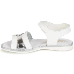 Citrouille et Compagnie - KATAGUE