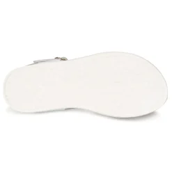 Citrouille et Compagnie - KATAGUE