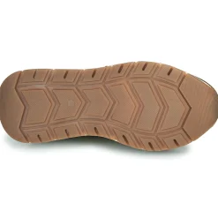 Citrouille et Compagnie - LELLE