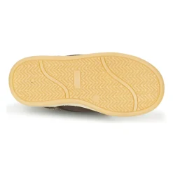 Citrouille et Compagnie - FREMOULI