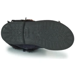 Citrouille et Compagnie - PICOTA Marine