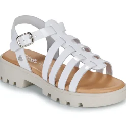 Citrouille et Compagnie - NASAKA