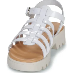 Citrouille et Compagnie - NASAKA