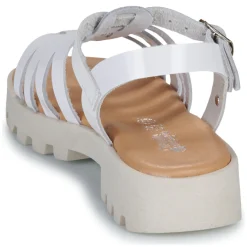 Citrouille et Compagnie - NASAKA