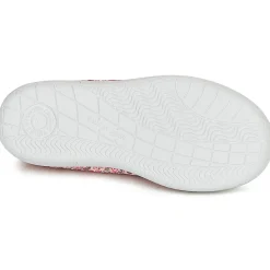 New Citrouille et Compagnie - GLASSIA