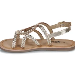 Citrouille et Compagnie - TRESSA Gold Outlet