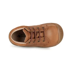 Best Citrouille et Compagnie - RATON.C