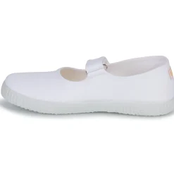 Citrouille et Compagnie - IVALYA