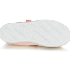 Citrouille et Compagnie - APSUT Rose