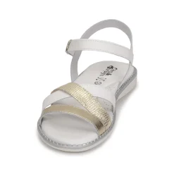 Citrouille et Compagnie - IZOEGL Outlet