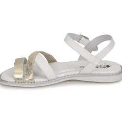 Citrouille et Compagnie - IZOEGL Outlet