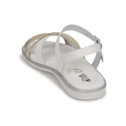 Citrouille et Compagnie - IZOEGL Outlet