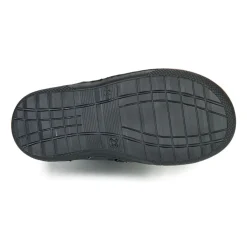 Citrouille et Compagnie - LOMINE