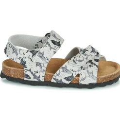 Citrouille et Compagnie - OMAYO