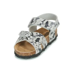 Citrouille et Compagnie - OMAYO