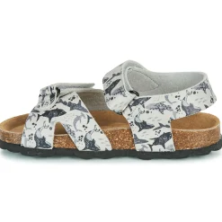 Citrouille et Compagnie - OMAYO