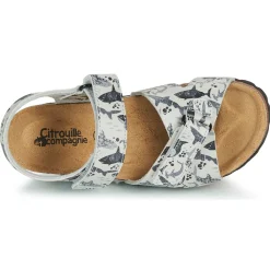 Citrouille et Compagnie - OMAYO