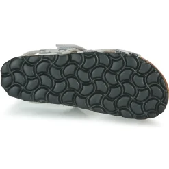 Citrouille et Compagnie - OMAYO