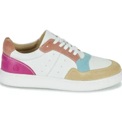 Citrouille et Compagnie - FITOS