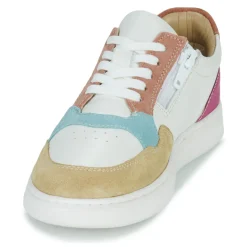 Citrouille et Compagnie - FITOS