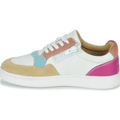 Citrouille et Compagnie - FITOS