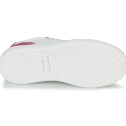 Citrouille et Compagnie - FITOS