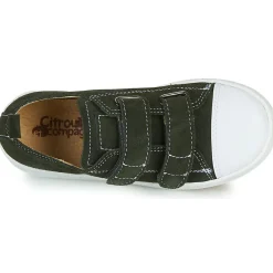 Citrouille et Compagnie - NADIR Kaki Online