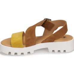 New Citrouille et Compagnie - PIPOTI