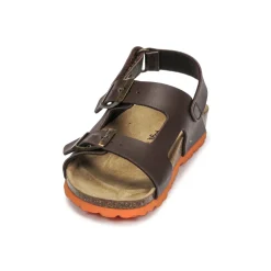 Citrouille et Compagnie - KELATU