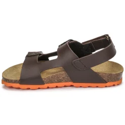 Citrouille et Compagnie - KELATU