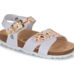 Online Citrouille et Compagnie - CHOMINA Orange