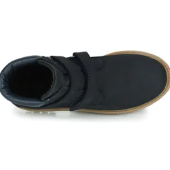 Citrouille et Compagnie - PAXA Bleu