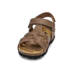 Citrouille et Compagnie - JANISOL